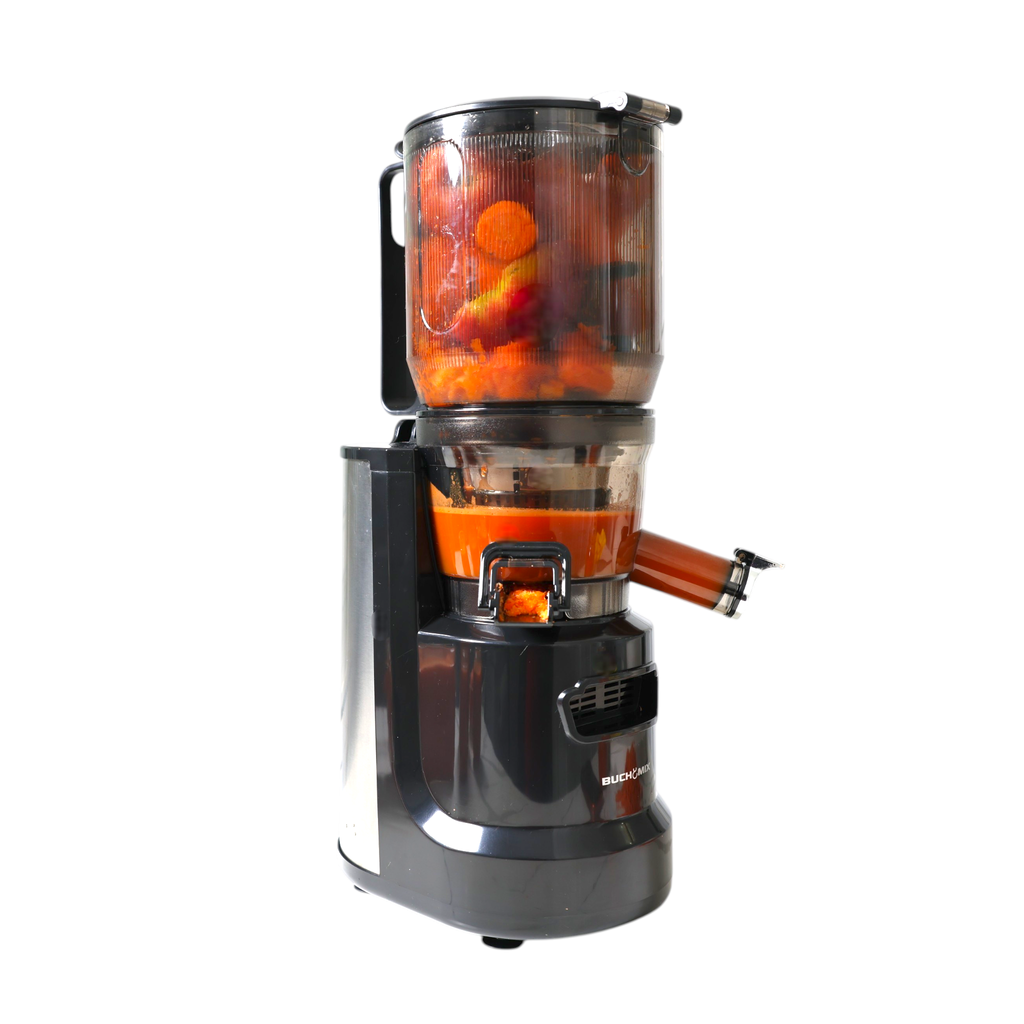 Multifunctional Hands Free Self Feeding Batch Juicer With Heavy Duty Motor