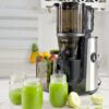 Multifunctional Hands Free Self Feeding Batch Juicer With Heavy Duty Motor - Image 2